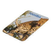 Leopard, Namibia Magnet (Linke Seite)