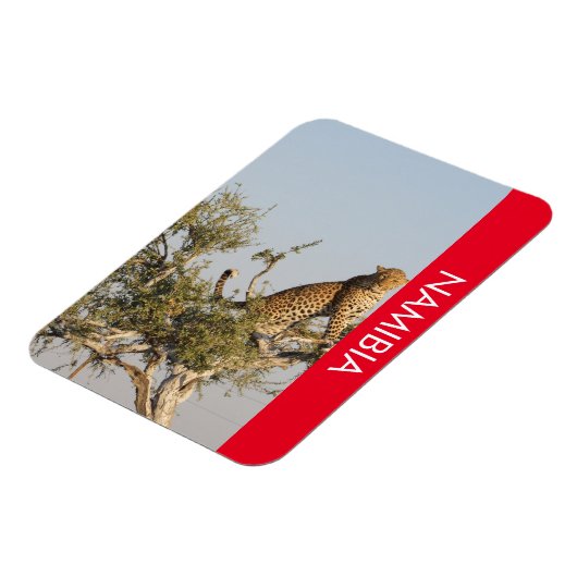 Leopard, Namibia Magnet (Linke Seite)