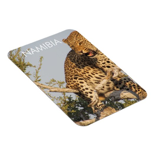 Leopard, Namibia Magnet (Rechte Seite)