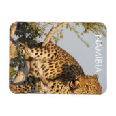 Leopard, Namibia Magnet (Horizontal)