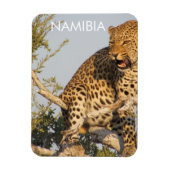 Leopard, Namibia Magnet (Vertikal)