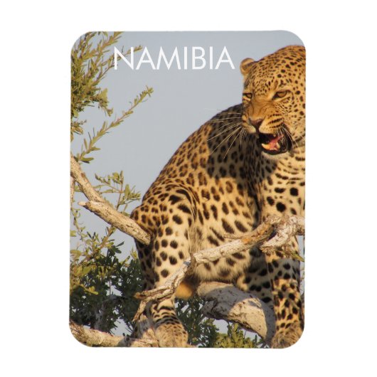 Leopard, Namibia Magnet (Vertikal)