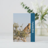 Leopard, Namibia Postcard Postkarte (Stehend Vorderseite)