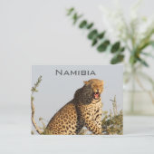 Leopard, Namibia Postcard Postkarte (Stehend Vorderseite)