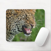 Leopard, Natur, wild lebende Tiere Mousepad (Mit Mouse)