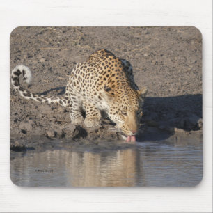 LEOPARD NIMMT EINEN TRUNK MOUSEPAD