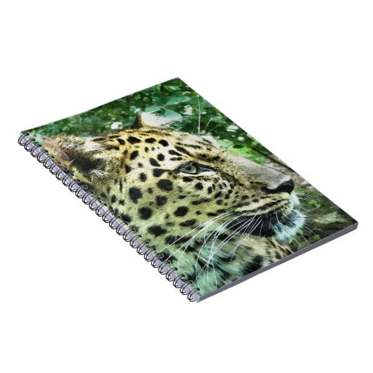 LEOPARD NOTIZBLOCK (Rechte Seite)