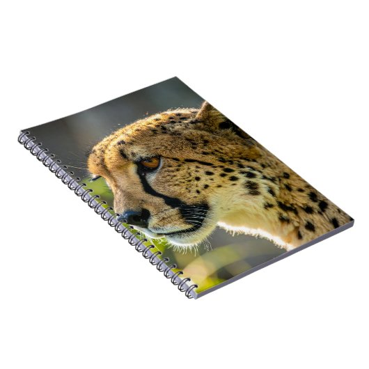 leopard notizblock (Rechte Seite)
