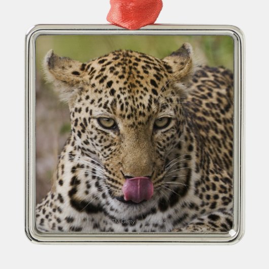 Leopard Ornament Aus Metall (Vorne)