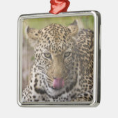 Leopard Ornament Aus Metall (Links)