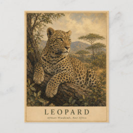 Leopard Ostafrikanische Waldgebiete VINTAGE Postkarte