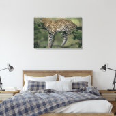 Leopard (Panthera pardus), Kenia, Masai Mara Leinwanddruck (Insitu (Schlafzimmer))