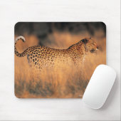 Leopard (Panthera pardus) Mousepad (Mit Mouse)