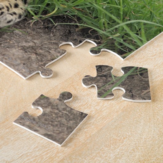 Leopard, Panthera pardus, Sabi Sabi Puzzle (Seite)