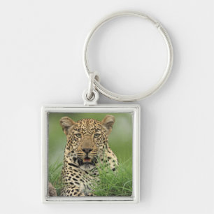 Leopard, Panthera pardus, Sabi Sabi Spiel Schlüsselanhänger