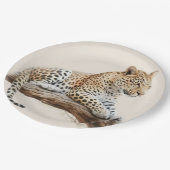 Leopard Pappteller (Schrägansicht)