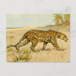 Leopard, Pastellfarben, Künstler unbekannt Postkarte