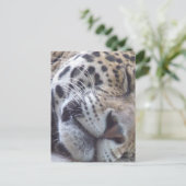 Leopard Picture Postcard Postkarte (Stehend Vorderseite)