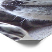 Leopard Picture Print Poster (Ecke)