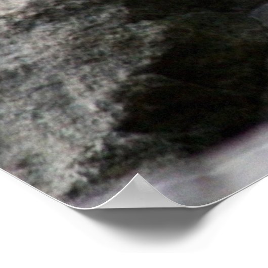 Leopard-Plakat Poster (Ecke)