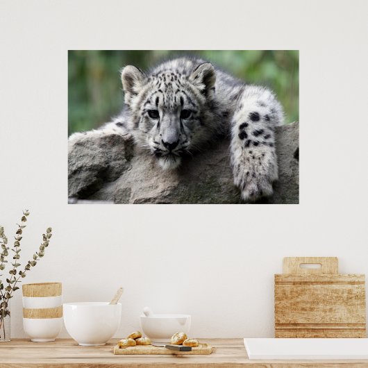 Leopard-Plakat Poster (Küche)