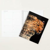 Leopard Planer (Anzeige)