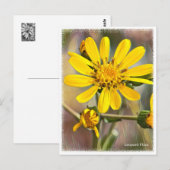 Leopard Plant Postkarte (Vorne/Hinten)