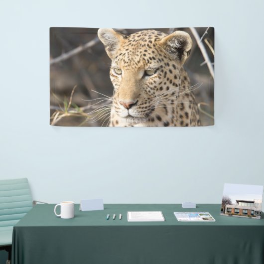 Leopard-Portrait Banner (Messeveranstaltung)