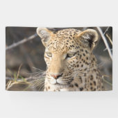 Leopard-Portrait Banner (Horizontal)