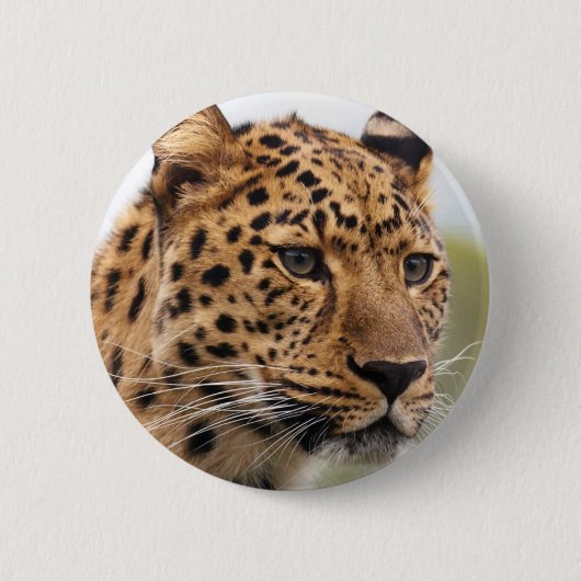 Leopard Portrait Button (Vorderseite)