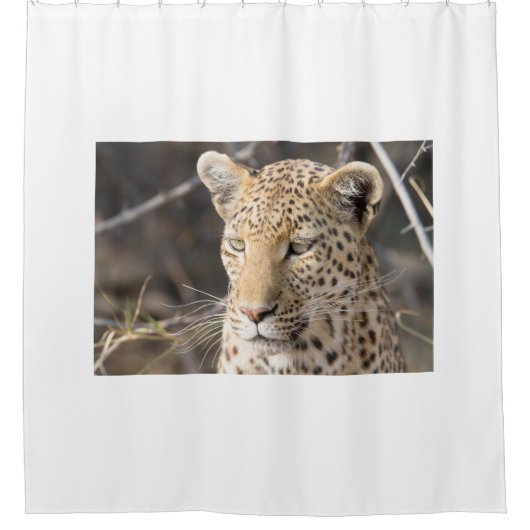 Leopard-Portrait Duschvorhang (Vorderseite)