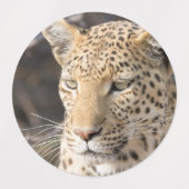 Leopard-Portrait Etiketten (Design 1)