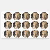 Leopard-Portrait Etiketten (Blatt)