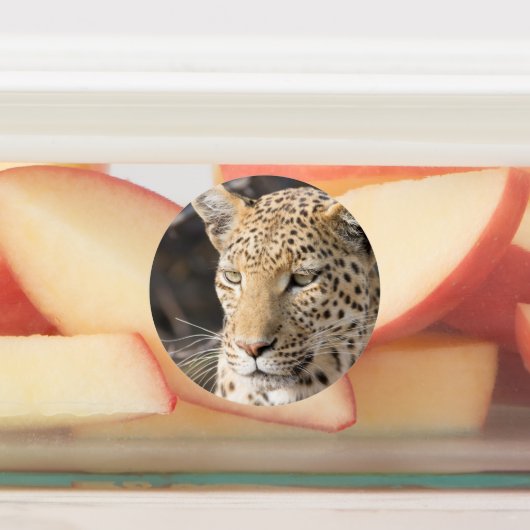 Leopard-Portrait Etiketten (Befestigt)