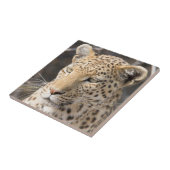 Leopard-Portrait Fliese (Seite)