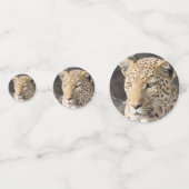 Leopard-Portrait-Foto Konfetti (Vorderseiten)