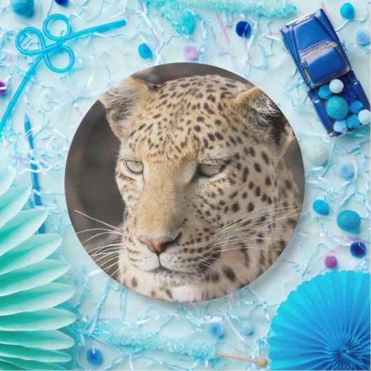Leopard-Portrait-Foto Pappteller (Party)