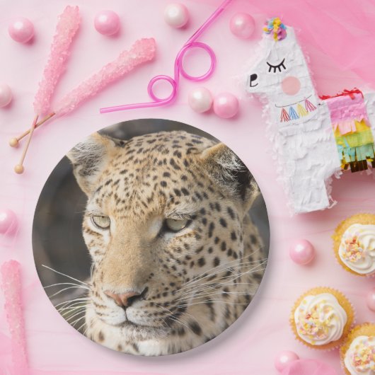 Leopard-Portrait-Foto Pappteller (Party)