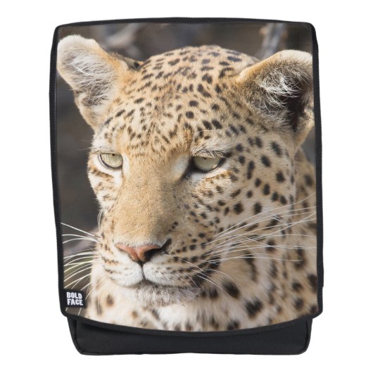 Leopard-Portrait-Foto Rucksack (Vorderseite)