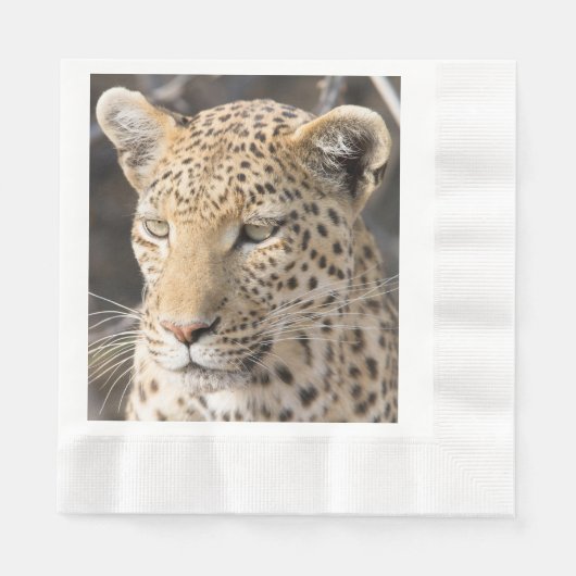 Leopard-Portrait-Foto Serviette (Vorderseite)