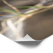 Leopard-Portrait Fotodruck (Ecke)