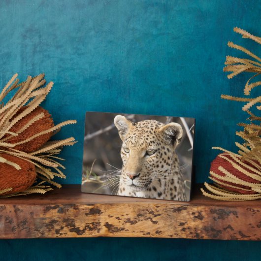 Leopard-Portrait Fotoplatte (Seite)