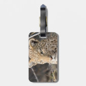 Leopard-Portrait Gepäckanhänger (Rückseite vertikal)
