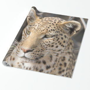 Leopard-Portrait Geschenkpapier
