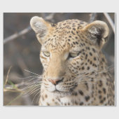Leopard-Portrait Geschenkpapier (Flach)