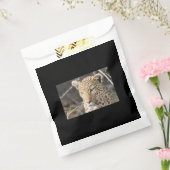 Leopard-Portrait Geschenktütchen (Versiegelt)