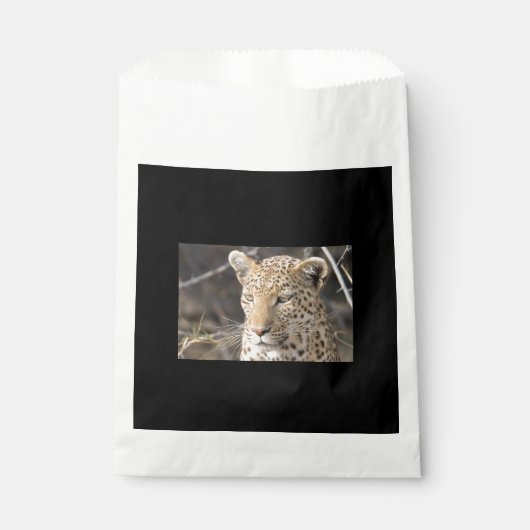 Leopard-Portrait Geschenktütchen (Vorderseite)