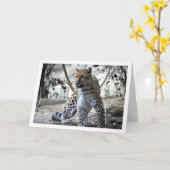 Leopard Portrait Karte (Gelbe Blume)