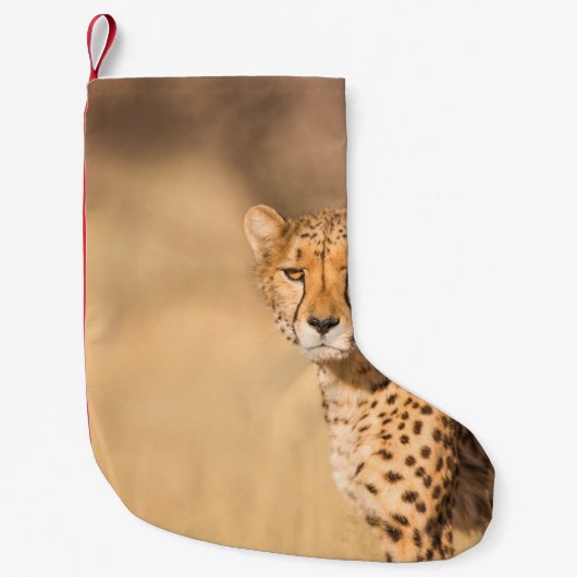 LEOPARD PORTRAIT KLEINER WEIHNACHTSSTRUMPF (Vorderseite)