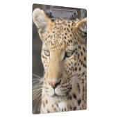 Leopard-Portrait Klemmbrett (Rechts)